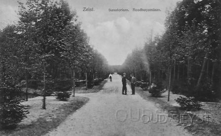 Chr. San-1916-005.jpg - Roodhuyzenlaan. Op het vroegere terrein van het Christelijk. Sanatorium. Nu de Schermerslaan. (David Schermers was directeur van het Sanatorium van 1907-1925). Foto gemaakt in 1916.